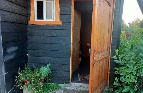 Cunco Apartment | Cozy Cabaña El Remo: Family-Friendly Getaway