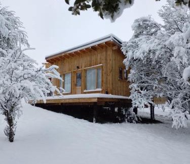 Lanin National Park Ski Chalet | Idyllic Mountain Retreat: Cabaña en la montaña