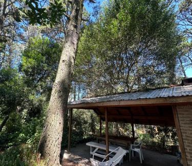 Valeria del Mar House | Forest Retreat with Quincho: Pet Friendly & Ocean View