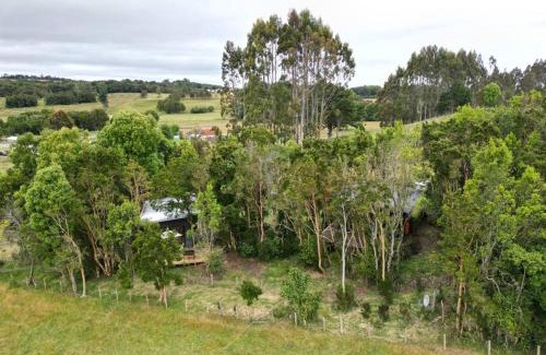 Curaco de Velez House | Quiet Retreat: Cabaña en el bosque Chiloé, Pet Friendly