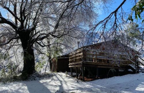 Casa de Lata House | Cozy Cabaña in the Woods - Relax by Termas de Chillán