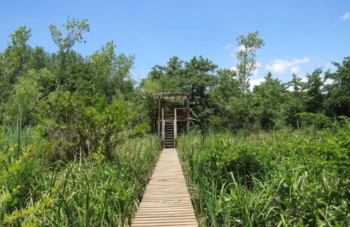 Partido de Tigre Cabin | Idyllic Cabaña en el Delta Arroyo Pajarito with Ocean View