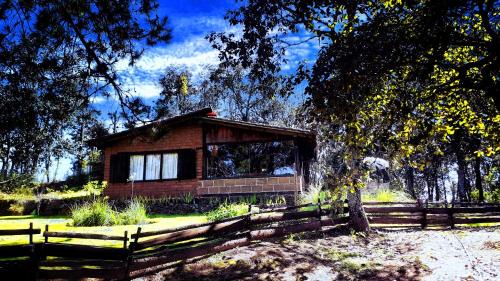 Acaxochitlan Other | Enchanting Cabaña in the Heart of the Forest ZA