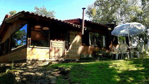 Acaxochitlan Other | Enchanting Cabaña in the Heart of the Forest ZA