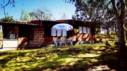 Acaxochitlan Other | Enchanting Cabaña in the Heart of the Forest ZA