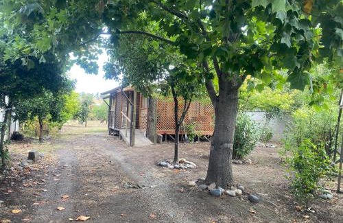 Nuble Region House | Discover Cabaña en Quinchamalí: Pet-Friendly Retreat