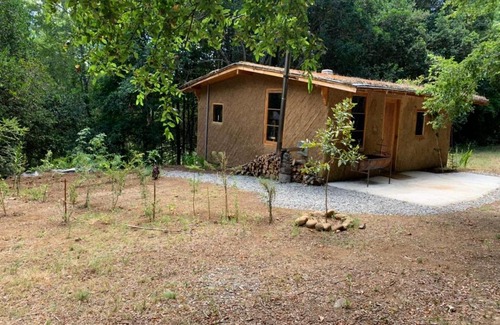 Villarrica House | Cozy Cabaña Entre Boldos: Pet-Friendly Family Retreat