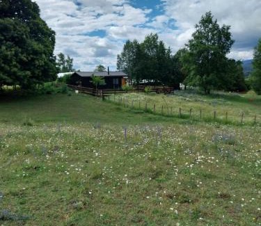 Curacautin House | Idyllic Retreat: Cabaña entre el Conguillio y Corralco