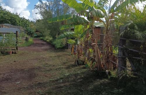 Hanga Roa House | Family Cabaña Oro Ra'a: Ocean View & Private Beach