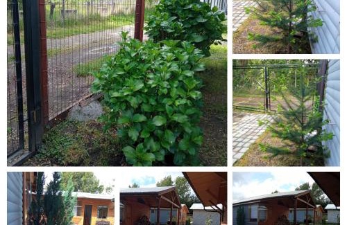 Conaripe House | Discover Cabaña Gloria: Family-Friendly Retreat with 9.4 Rating
