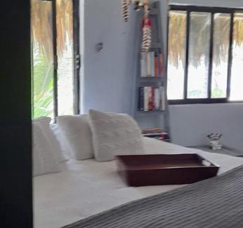 Mahahual Apartment | Discover Cabaña Ilean: Pet-Friendly Oceanfront Escape