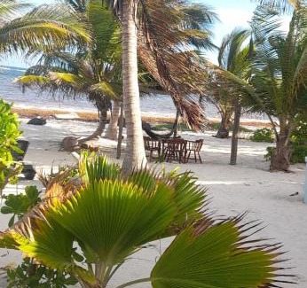 Mahahual Apartment | Discover Cabaña Ilean: Pet-Friendly Oceanfront Escape
