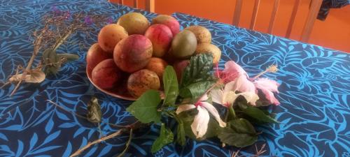 Hanga Roa House | Discover Cabaña Kaiheke: Exceptional Child-Friendly Retreat