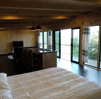 San Jose del Pacifico Ski Chalet | Cabaña Lúa