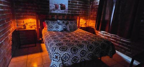 Tecate Municipality Other | Discover CABAÑA LA GRULLA: Pet-Friendly Retreat with 9/10 Score
