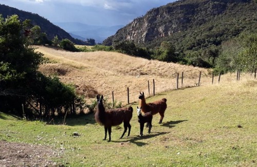 Guasca Other | Family-Friendly Cabaña La Libélula with Pet Amenities