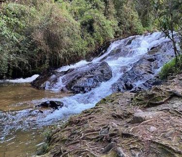 Medellin House | Romantic Getaway at Cabaña La Odisea - Pet Friendly Retreat