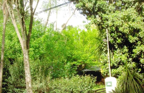 Tandil Cabin | Oceanfront Bliss at Cabaña La Strega - Guest Rated 9.6