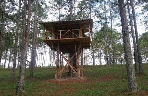 Siguatepeque House | Top-Rated Cabaña La Tortuga with Cozy Fireplace & Breakfast