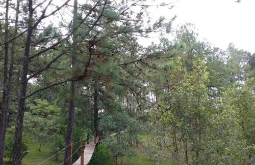 Siguatepeque House | Top-Rated Cabaña La Tortuga with Cozy Fireplace & Breakfast
