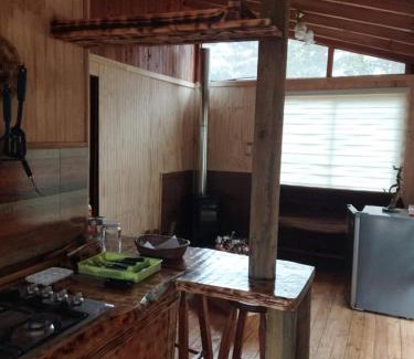 Valparaiso House | Discover Cabaña Laguna Los Patos: Pet & Child Friendly Retreat