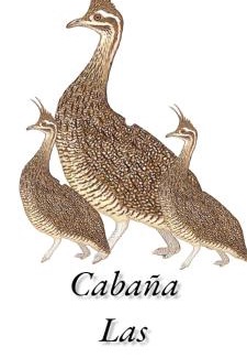 Maria Grande Apartment | Child-Friendly Retreat at Cabaña Las Martinetas - 9.3/10