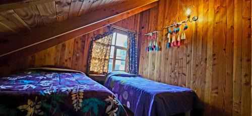 Conaripe Ski Chalet | Cabaña Lemu