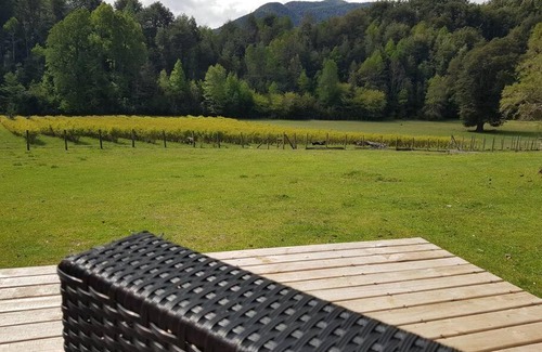 Collentane House | Explore Cabaña los Arándanos: Pet-Friendly Retreat