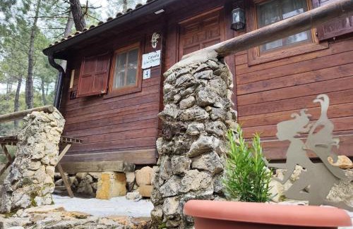 Riopar House | Pet-Friendly Cabaña Los Chorros with Oceanfront Views