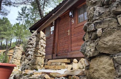 Riopar House | Pet-Friendly Cabaña Los Chorros with Oceanfront Views