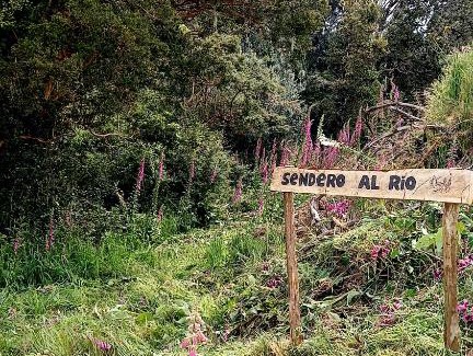 Ancud Ski Chalet | Pet-Friendly Retreat at Cabaña Maria Teresa for Families