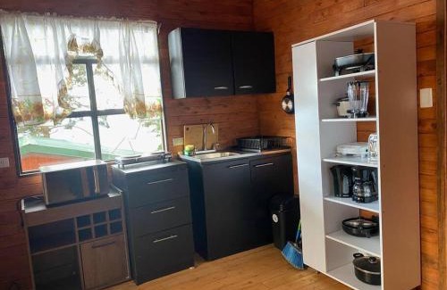 Canton Leon Cortes Castro Ski Chalet | Pete-Friendly Cabaña Mariposa Cometa: Experience Cloud Living