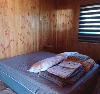 Conaripe Apartment | Welcoming Cabaña Moebius: Pet Friendly & Family Ready