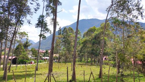 Oxapampa Cabin | Cabaña Monte Santo