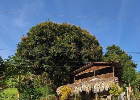 Necocli House | Pet and Child Friendly Retreat at Cabaña Murringo