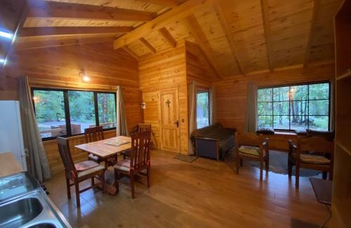 Pucon House | New Cabaña in Pucón: Pet-Friendly with Perfect Reviews