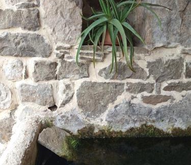 Selaya House | Unique Cabaña Pasiega: Pet & Child Friendly Retreat
