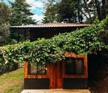 Poas Volcano National Park Ski Chalet | Pet-Friendly Cabañas Queca! Reviewed 8.5/10 by Guests