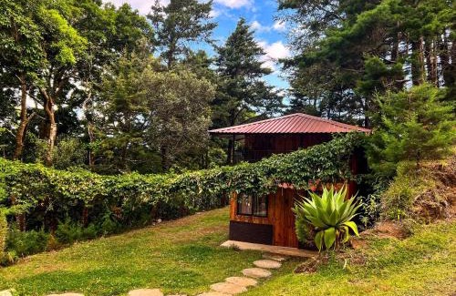 Poas Volcano National Park Ski Chalet | Pet-Friendly Cabañas Queca! Reviewed 8.5/10 by Guests