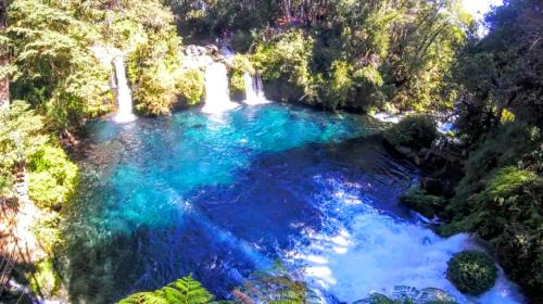 Collentane Cabin | Comfortable Cabaña Pucon a Huife: Pet-Friendly Retreat