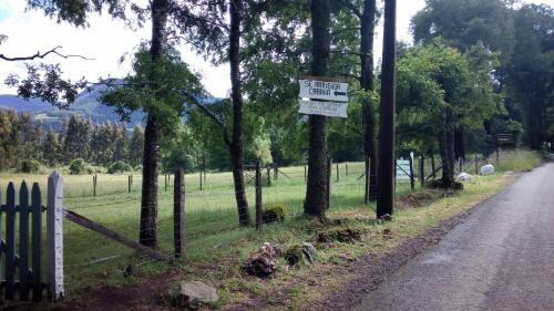 Collentane Cabin | Comfortable Cabaña Pucon a Huife: Pet-Friendly Retreat