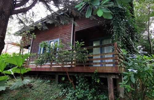 Conaripe House | Relaxing Cabaña Pudomo in Coñaripe with Exclusive Hot Tub