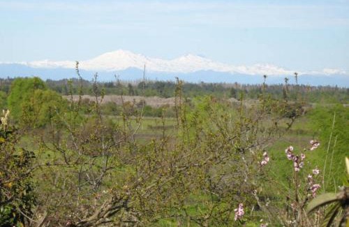Quillon House | Pet-Friendly Paradise at Cabaña Quillón El Campito