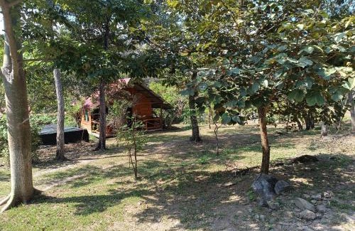 Curubande Apartment | Pet-Friendly Cabaña la Granja: Guest Rated 9.7/10