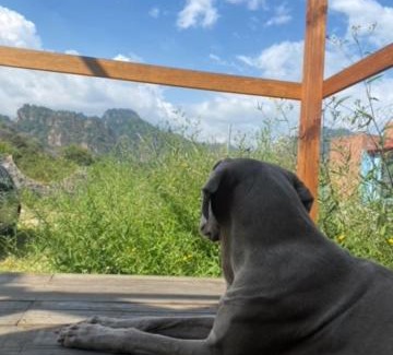 Amatlan Other | Romantic Cabin with Mountain Views and Pet-Friendly Options