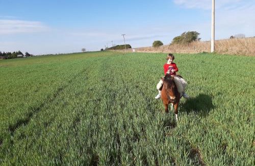 San Antonio de Areco House | Experience Cabaña Rural El Encuentro: 4-Star Pet-Friendly Retreat