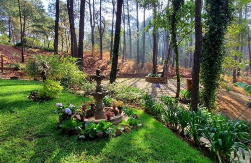 Mazamitla Ski Chalet | Rustic Cabin Retreat Near Waterfall with Breakfast Included