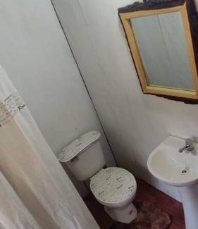 Puerto Fuy House | Pet-Friendly Holiday Homes in Chile with High Guest Ratings