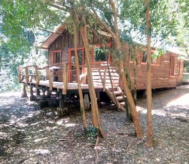 Panguipulli Ski Chalet | Rustic Cabaña in Patagonia Chilena - Pet-Friendly Retreat