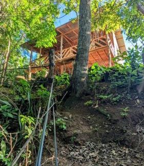 Canton La Cruz Apartment | Cozy Cabin Surrounded by Mountains - Pet and Child Friendly